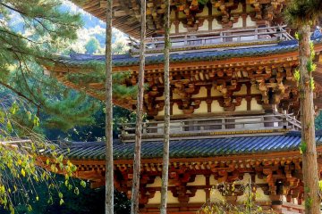 <p>A closer look at the pagoda</p>