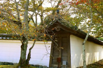 <p>Daigo temple has many cherry trees &nbsp;</p>