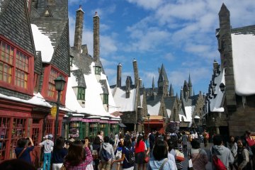 The Wizarding World of Harry Potter