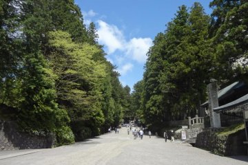 <p>The path between the big cedar trees is a good example. In those days, the further you went, the shorter the cedars were cut. This created the impression of a long, narrow path</p>