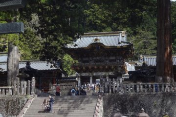 <p>Perspective</p>