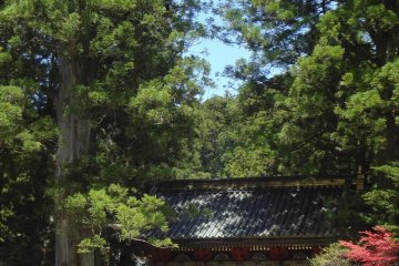 <p>Front side of Omote-mon</p>