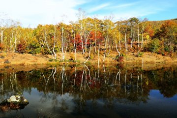 Translucent Norikura Highlands