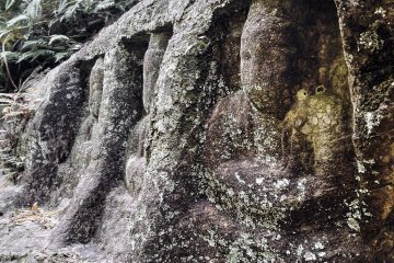 <p>Ancient carvings that go back centuries in time.</p>