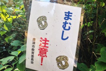 <p>This is a sign warning visitors of poisonous snakes. Although I didn't see any during my visit, you may want to keep that in mind before coming out here. Always be mindful of your environment.</p>
