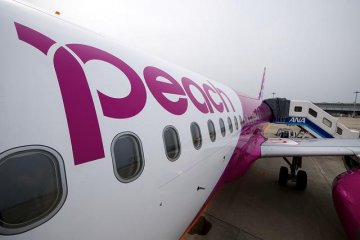 Come Fly with Peach 