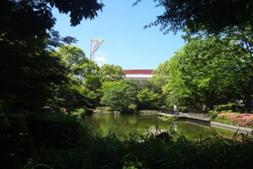 A lovely Japanese Garden is located in the back corner of the park.