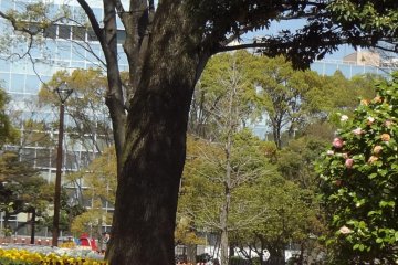 What a nice little park it is--and right in the middle of the city!