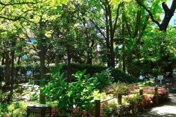 Enjoy a stroll through the park on a sunny day.