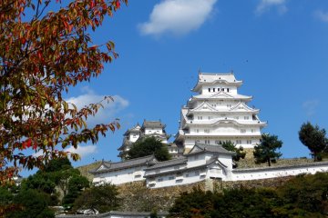 <p>Au Japon, le blanc immacul&eacute; et la beaut&eacute; du ch&acirc;teau lui ont valu le surnom de "h&eacute;ron blanc"</p>