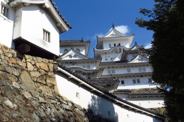 <p>Contrairement &agrave; bien d'autres ch&acirc;teaux du Japon, celui-ci n'a jamais &eacute;t&eacute; d&eacute;truit par les guerres ou les catastrophes naturelles; ce qui ajoute &agrave; sa c&eacute;l&eacute;brit&eacute;</p>