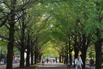 Peaceful Hikarigaoka Park