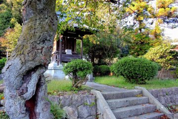 <p>Peeping at the small shrine</p>