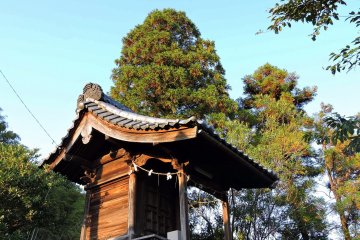 <p>Nameless small shrine under the setting sun</p>