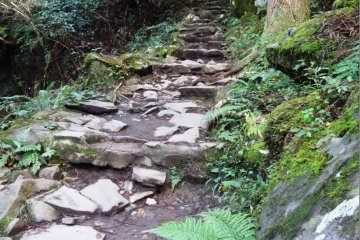 <p>The path to the waterfall has one small incline, near the trailhead</p>