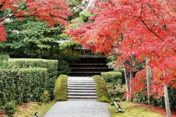 Fall Foliage at Katsura Rikyu