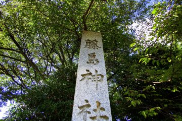 <p>Stone marker of Fujishima Shrine under the tall trees</p>