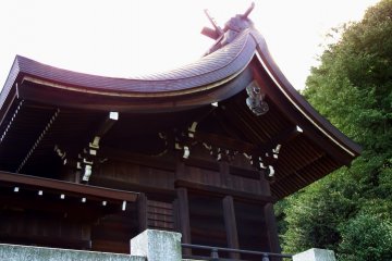 <p>The main prayer hall under the setting sun</p>