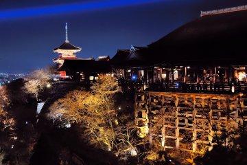 <p>The famous 'Stage of Kiyomizu'; I feel weak in my knees every time I stand here</p>
