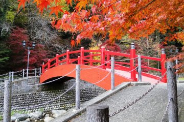 <p>A red bridge is a colorful highlight in a stroll of Ujo Park</p>