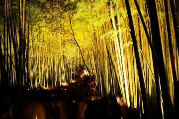 Jalan Lentera di Arashiyama Kyoto