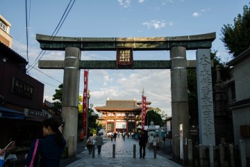 <p>Entrance gate</p>