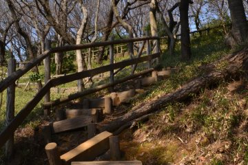 Wooden pathway leading up to the gardens