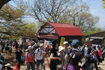 The top of the mountain, including soba shop, on a busy national holiday.