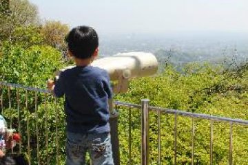 Checking out the view.