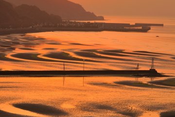 <p>Pendant la mar&eacute;e du printemps, la port&eacute;e des mar&eacute;es est plus importante et les vasi&egrave;res y sont plus visibles</p>