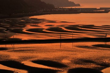 <p>Lorsque les vasi&egrave;res sont compl&egrave;tement &agrave; d&eacute;couvert, on peut les apercevoir de tr&egrave;s loin</p>