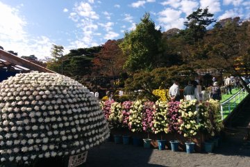 <p>A special dome exhibit</p>