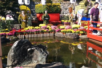<p>Another look at the center attraction</p>