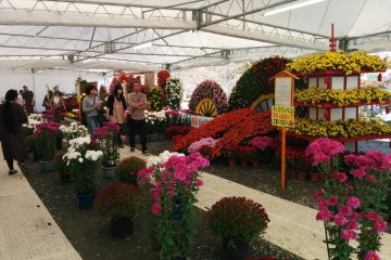<p>A view of the garden zone</p>