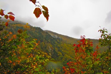 <p>Warna-warni musim gugur sepanjang trek</p>