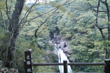 Sehari di Sendai
