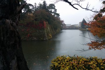 <p>A view of the moat</p>