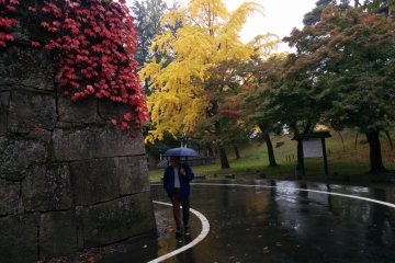 <p>A traffic signal of colors at the outer wall</p>