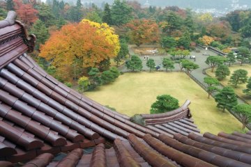 <p>A few trees and the only red-tiled castle roof in Japan</p>