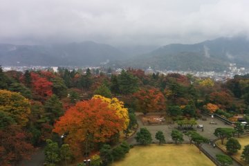 <p>Season colors in the courtyard</p>