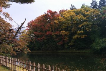 <p>A view of the moat</p>