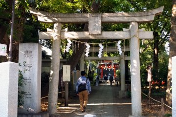 <p>A temple hidden in a luscious garden</p>