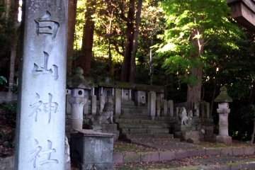 <p>Stone marker of Hakusan Shrine with lined tiny stone shrines in the background</p>