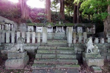 <p>Wow! They look so disciplined and organized!</p>