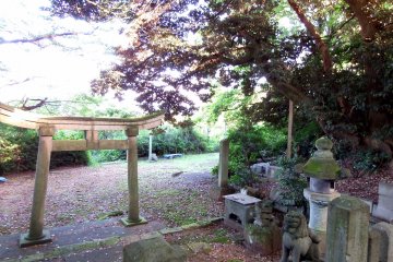 <p>Torii gate seen from inside the small shrine grounds</p>