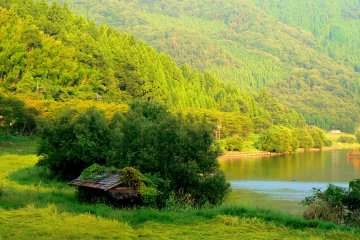 <p>A rustic building in a rice field tucked between cedar-clad slopes and the lake</p>