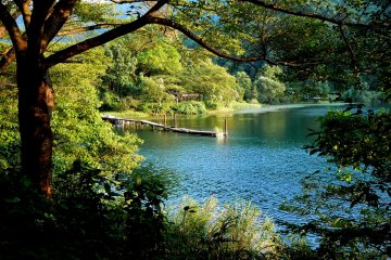 <p>A small jetty on a sheltered bay</p>