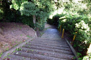 <p>From Fujishima Shrine, located halfway up the mountain, you should go down the long stone steps to reach Kurotatsu Shrine</p>