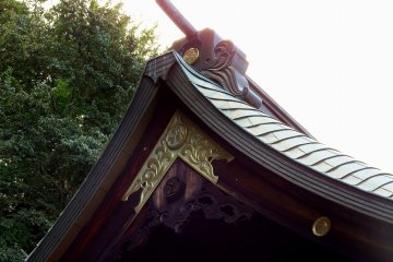 <p>Golden roof ornaments under the setting sun</p>