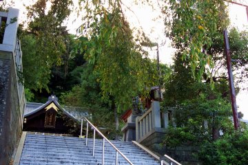 <p>Looking up at the prayer hall of Kurotatsu Shrine through green willow trees</p>